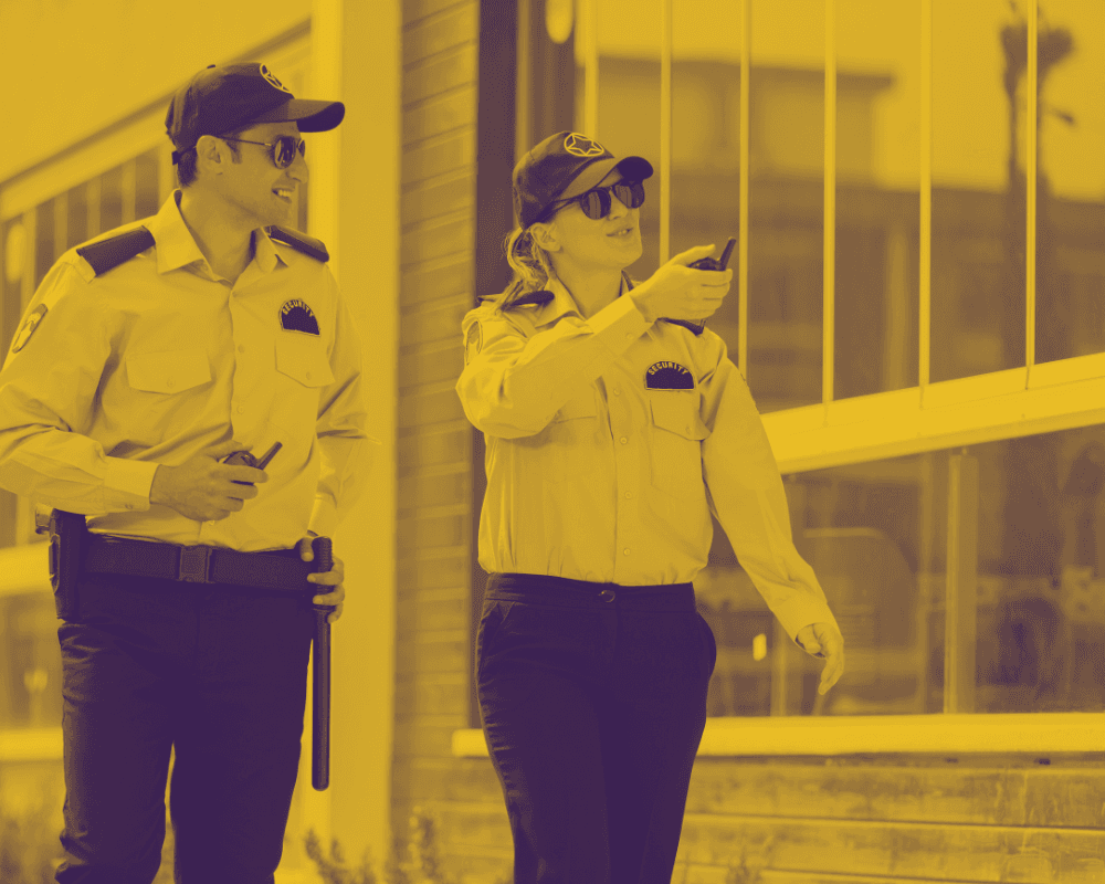 Segurança Patrimônial , Indispensavél nos dias atuais ?